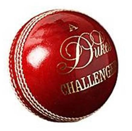 Dukes Challenger Cricket Ball