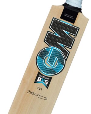GM 101 Diamond Cricket Kashmir Willow Bat