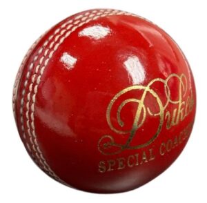 Dukes Special Coaching Cricket Ball