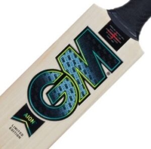GM Aion L555 Cricket Bat