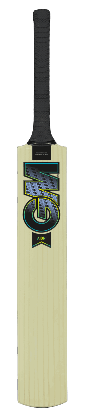 GM Aion 101 Kashmir Willow Cricket Bat