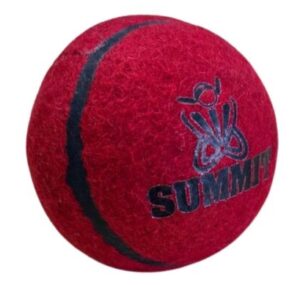 Summit Bouncer Cricket Ball