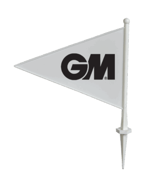GM Boundary Flags